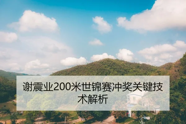 谢震业200米世锦赛冲奖关键技术解析 - VSPORTS